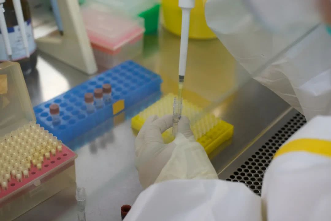 核酸檢測又降價！多地增設(shè)24小時檢測服務(wù)機構(gòu)